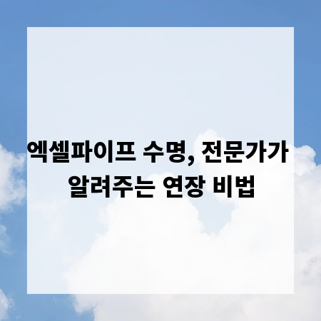 엑셀파이프 수명, 전문가가 알려주는 연장 비법