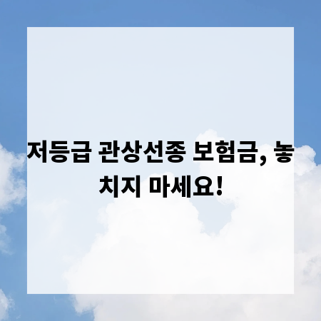 저등급 관상선종 보험금, 놓치지 마세요!
