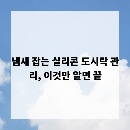 냄새 잡는 실리콘 도시락 관리, 이것만 알면 끝