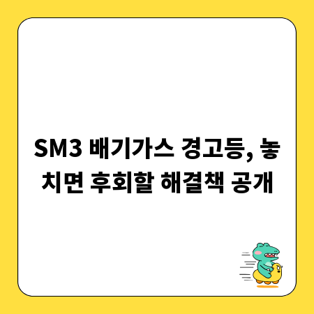SM3 배기가스 경고등, 놓치면 후회할 해결책 공개