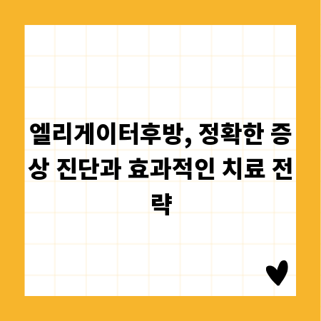 엘리게이터후방, 정확한 증상 진단과 효과적인 치료 전략