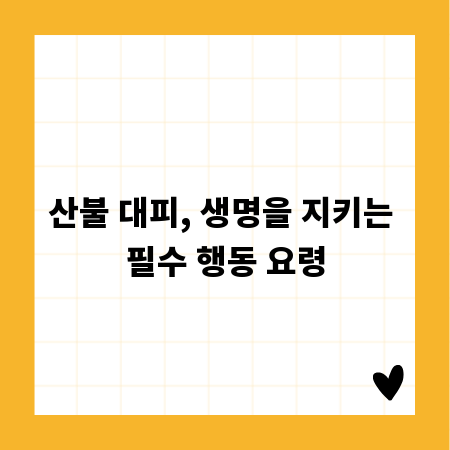 산불 대피, 생명을 지키는 필수 행동 요령