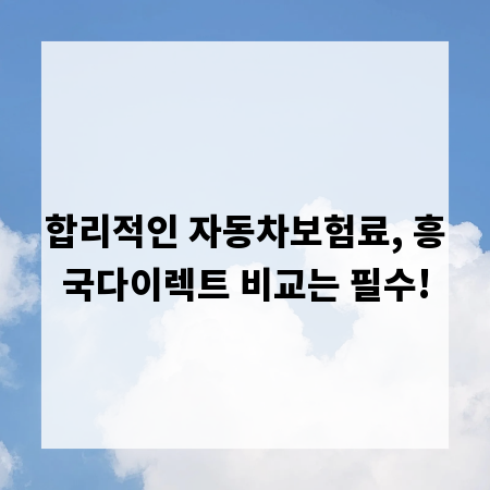 합리적인 자동차보험료, 흥국다이렉트 비교는 필수!