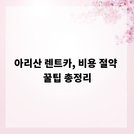 아리산 렌트카, 비용 절약 꿀팁 총정리