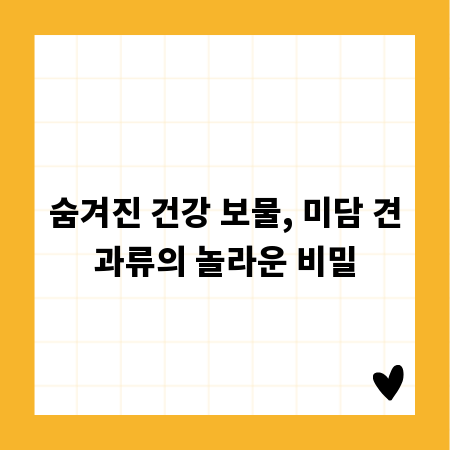 숨겨진 건강 보물, 미담 견과류의 놀라운 비밀