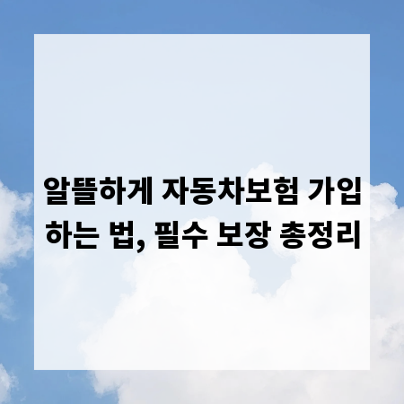 알뜰하게 자동차보험 가입하는 법, 필수 보장 총정리