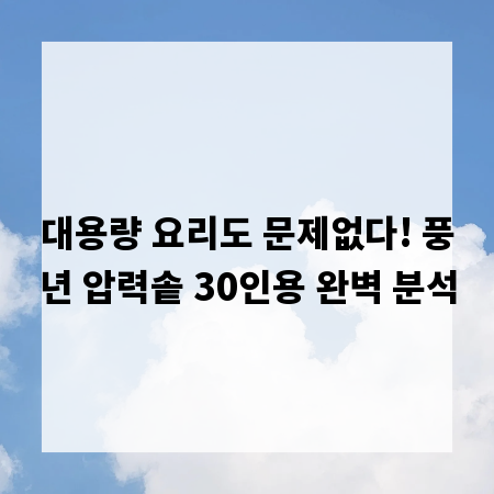 대용량 요리도 문제없다! 풍년 압력솥 30인용 완벽 분석