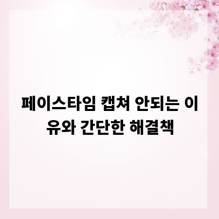 페이스타임 캡쳐 안되는 이유와 간단한 해결책