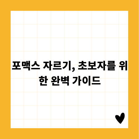 포맥스 자르기, 초보자를 위한 완벽 가이드