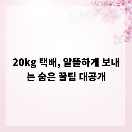 20kg 택배, 알뜰하게 보내는 숨은 꿀팁 대공개
