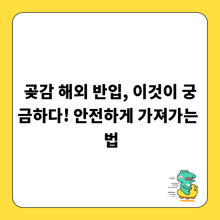 곶감 해외 반입, 이것이 궁금하다! 안전하게 가져가는 법