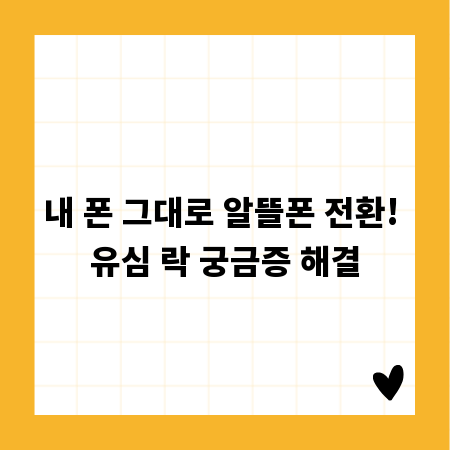 내 폰 그대로 알뜰폰 전환! 유심 락 궁금증 해결
