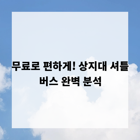 무료로 편하게! 상지대 셔틀버스 완벽 분석