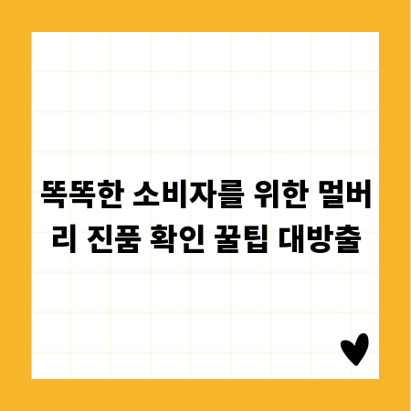 똑똑한 소비자를 위한 멀버리 진품 확인 꿀팁 대방출