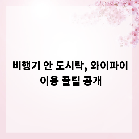 비행기 안 도시락, 와이파이 이용 꿀팁 공개