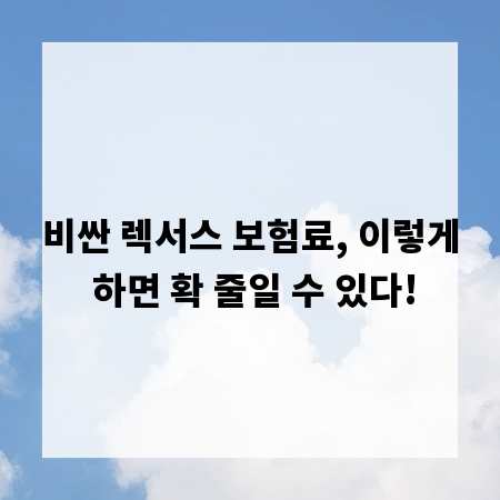 비싼 렉서스 보험료, 이렇게 하면 확 줄일 수 있다!