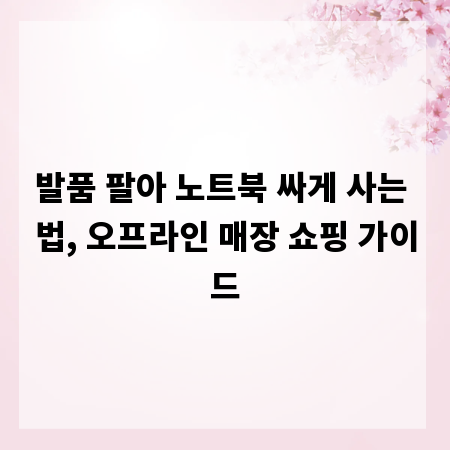 발품 팔아 노트북 싸게 사는 법, 오프라인 매장 쇼핑 가이드