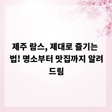 제주 람스, 제대로 즐기는 법! 명소부터 맛집까지 알려드림