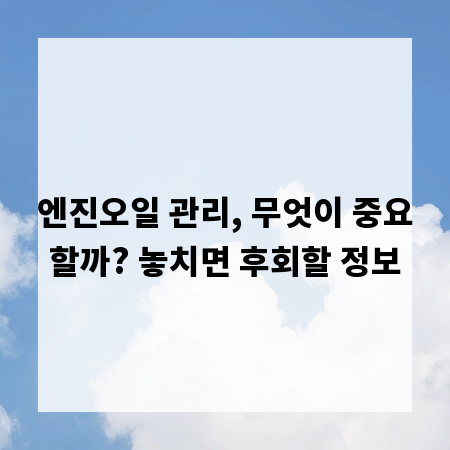 엔진오일 관리, 무엇이 중요할까? 놓치면 후회할 정보