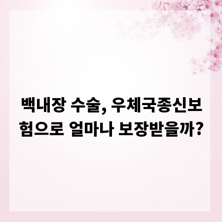 백내장 수술, 우체국종신보험으로 얼마나 보장받을까?