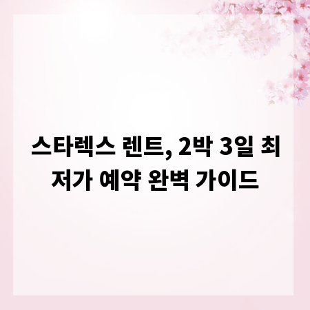 스타렉스 렌트, 2박 3일 최저가 예약 완벽 가이드