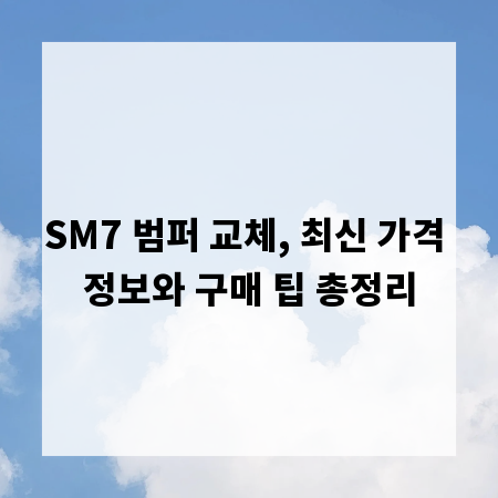 SM7 범퍼 교체, 최신 가격 정보와 구매 팁 총정리