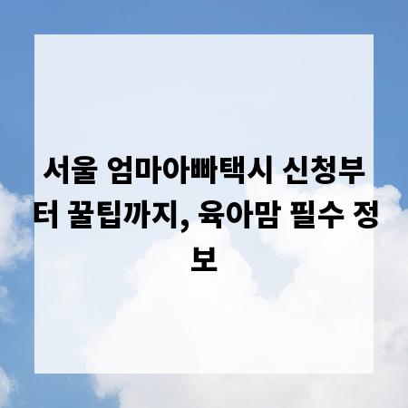 서울 엄마아빠택시 신청부터 꿀팁까지, 육아맘 필수 정보