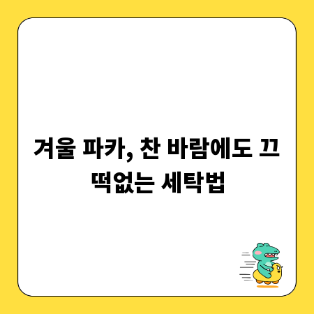 겨울 파카, 찬 바람에도 끄떡없는 세탁법