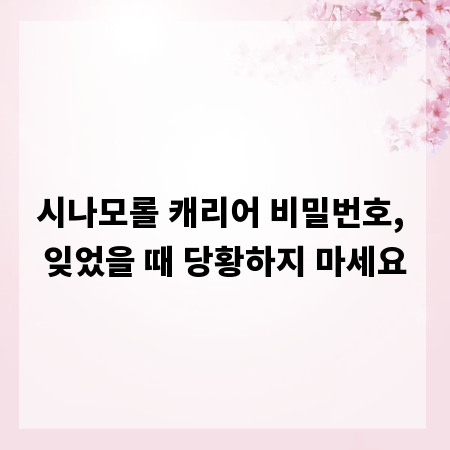 시나모롤 캐리어 비밀번호, 잊었을 때 당황하지 마세요