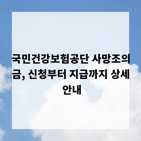 국민건강보험공단 사망조의금, 신청부터 지급까지 상세 안내