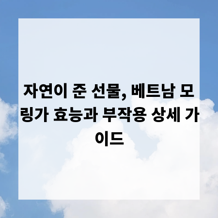 자연이 준 선물, 베트남 모링가 효능과 부작용 상세 가이드