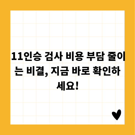 11인승 검사 비용 부담 줄이는 비결, 지금 바로 확인하세요!
