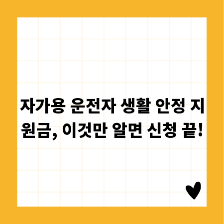 자가용 운전자 생활 안정 지원금, 이것만 알면 신청 끝!