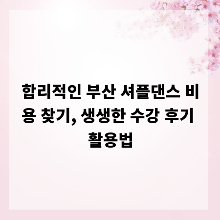 합리적인 부산 셔플댄스 비용 찾기, 생생한 수강 후기 활용법