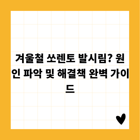 겨울철 쏘렌토 발시림? 원인 파악 및 해결책 완벽 가이드
