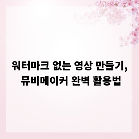 워터마크 없는 영상 만들기, 뮤비메이커 완벽 활용법