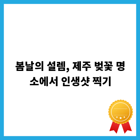 봄날의 설렘, 제주 벚꽃 명소에서 인생샷 찍기