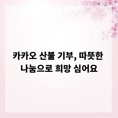 카카오 산불 기부, 따뜻한 나눔으로 희망 심어요
