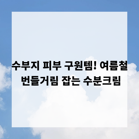 수부지 피부 구원템! 여름철 번들거림 잡는 수분크림