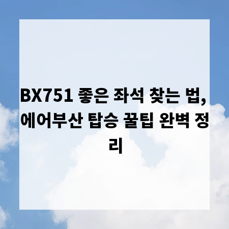 BX751 좋은 좌석 찾는 법, 에어부산 탑승 꿀팁 완벽 정리