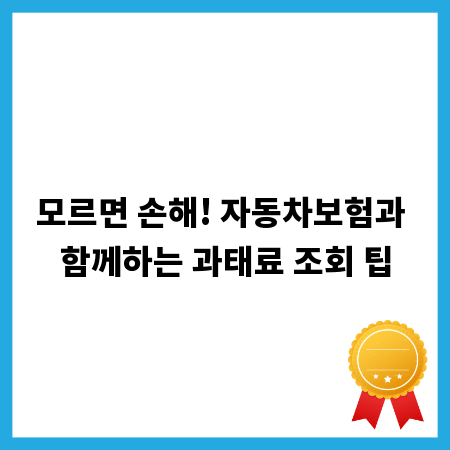 모르면 손해! 자동차보험과 함께하는 과태료 조회 팁