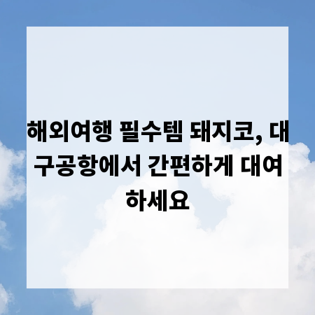 해외여행 필수템 돼지코, 대구공항에서 간편하게 대여하세요