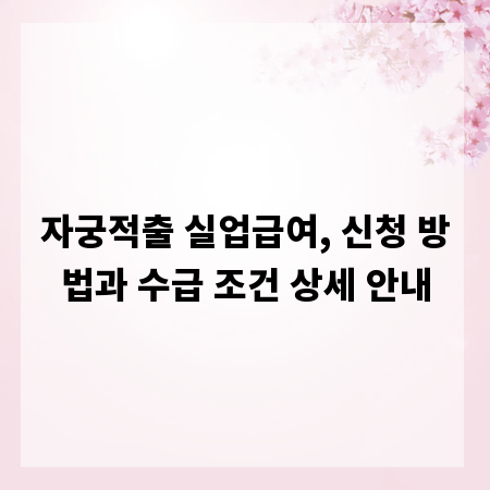 자궁적출 실업급여, 신청 방법과 수급 조건 상세 안내