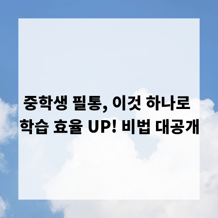 중학생 필통, 이것 하나로 학습 효율 UP! 비법 대공개