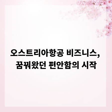 오스트리아항공 비즈니스, 꿈꿔왔던 편안함의 시작