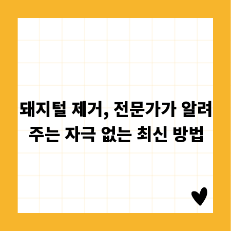 돼지털 제거, 전문가가 알려주는 자극 없는 최신 방법