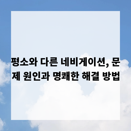 평소와 다른 네비게이션, 문제 원인과 명쾌한 해결 방법