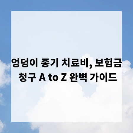 엉덩이 종기 치료비, 보험금 청구 A to Z 완벽 가이드