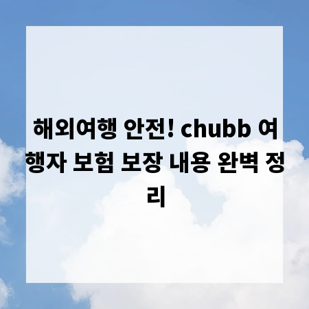 해외여행 안전! chubb 여행자 보험 보장 내용 완벽 정리