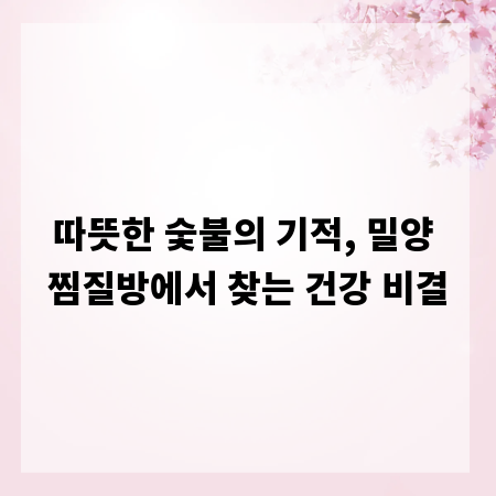 따뜻한 숯불의 기적, 밀양 찜질방에서 찾는 건강 비결